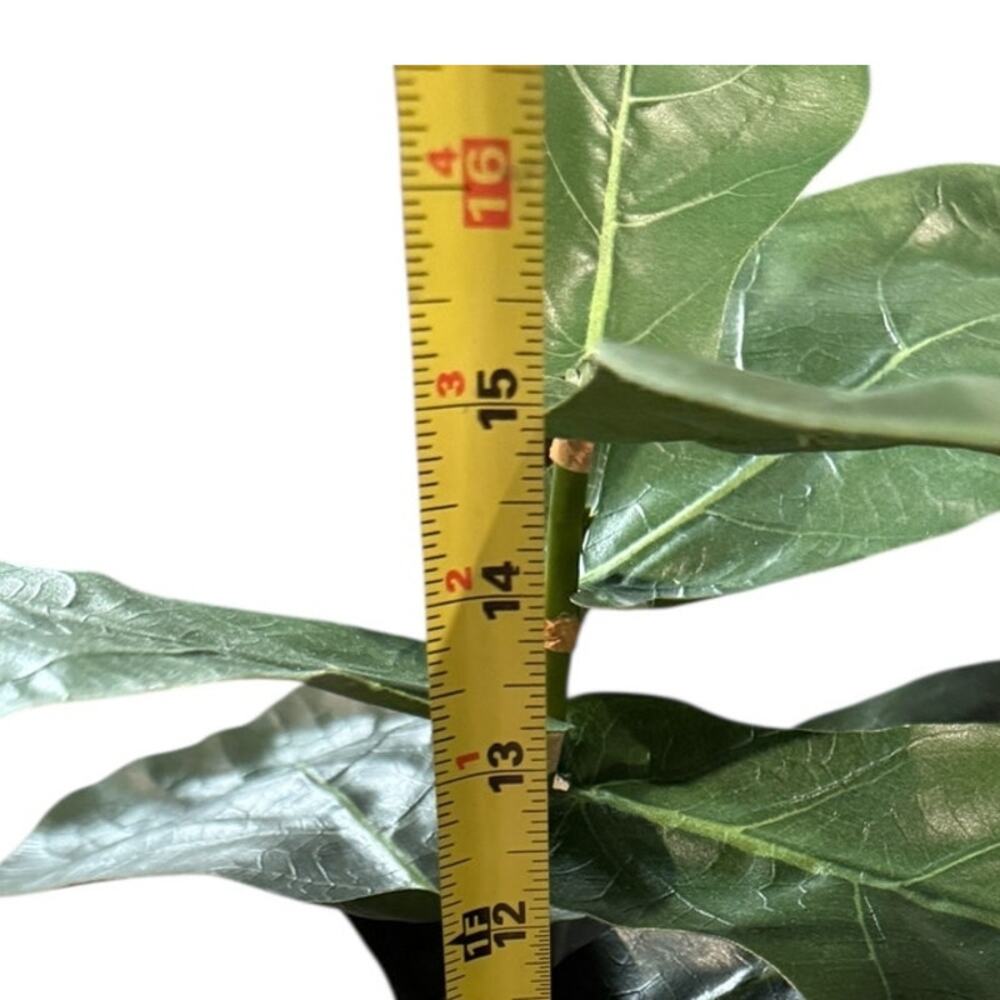 POTTERY BARN Small Faux Fiddle Leaf Fig Tree - Picture 4 of 9
